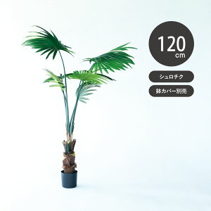 ytFCNO[ ϗtAzV`N|bg 120y  CeAO[ 150cm     |Ɏu₩fUC JXj v[gɂœKz