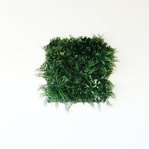 yԁzytFCNO[z O[EH[ 50 yCeA ϗtA lHA  C~e[V ǖ  fBXvC ItBX CeA Xܑ Oz