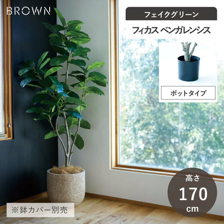 楽天市場】【フェイクグリーン】 フィカス ベンガレンシス ポット 135 
