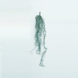 yԁzytFCNO[zXpjbVX nMOubV Vo[yCeA ϗtA lHA  Ǌ| A[eBtBVt[z