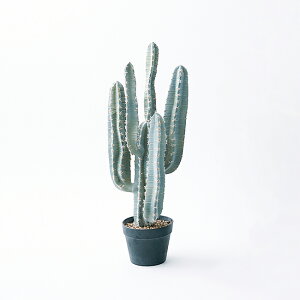 yԁzytFCNO[z T{e |bg 76yCeA ϗtA lHA  ^ C~e[Vz