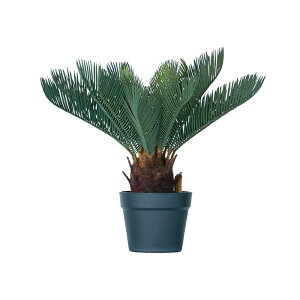 yԁzytFCNO[z \ec |bg 43 yCeA ϗtA lHA  C~e[V z