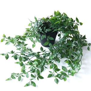 yԁzytFCNO[z tBJXVO |bg 74 yCeA ϗtA lHA  C~e[V z