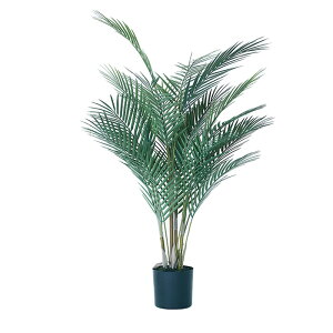 yԁzytFCNO[z AJV |bg 90 yCeA ϗtA lHA  C~e[V z