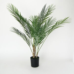 yԁzytFCNO[z AJV |bg 70 yCeA ϗtA lHA  C~e[V z