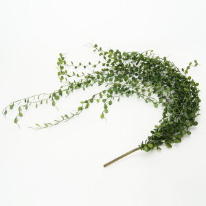 yԁzytFCNO[zfBXLfBA nMOubV 77 yCeA ϗtA lHA  Ǌ| A[eBtBVt[z