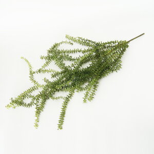 yԁzytFCNO[z^bZV_ nMOubV 85 yCeA ϗtA lHA  Ǌ| A[eBtBVt[z