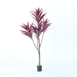 yԁzytFCNO[z hZi|bg 150 p[v yCeA ϗtA lHA  C~e[V Z[ΏFz