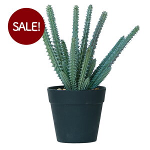 造花 サボテン フェイクグリーンの人気商品 通販 価格比較 価格 Com