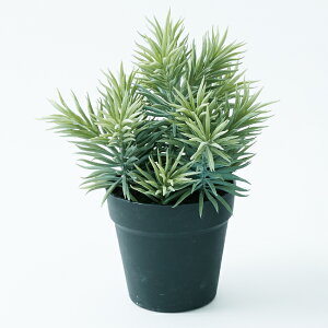 yԁzytFCNO[z ZlVI |bgyCeA ϗtA lHA  A TLgz