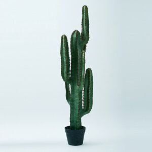 yԁzytFCNO[z T{e |bg 112yCeA ϗtA lHA  ^ C~e[Vz