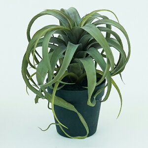 yԁzytFCNO[z LZOtBJ |bg yCeA ϗtA lHA  `WA GAvcz