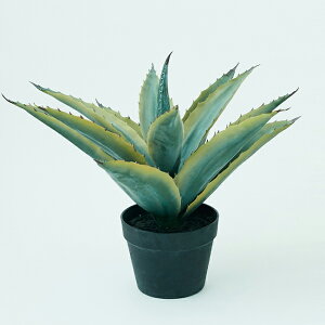 yԁzytFCNO[z AKx |bg yCeA ϗtA lHA  A TLg Z[ΏFz