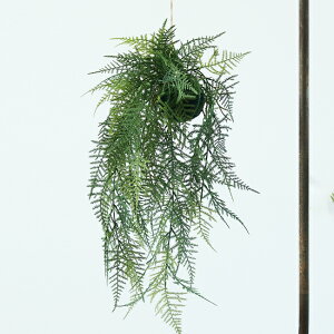 yԁzytFCNO[z t@[ nMO{[ 53 yCeA G AWg ϗtA lHA  Ǌ| ݂邷 V_ FARM BROWNz