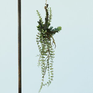 yԁzytFCNO[z AWg  47 yCeA G AWg ϗtA lHA  GAvc@݂艺 nMOz