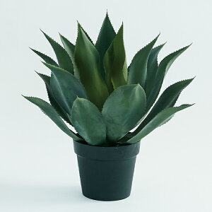 yԁzytFCNO[z AKx Aei[^ |bg yCeA ϗtA lHA  A TLgz