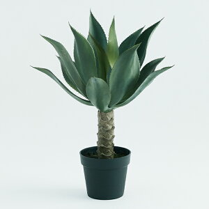 yԁzytFCNO[z AKx Aei[^ |bg 70 yCeA ϗtA lHA  A TLgz