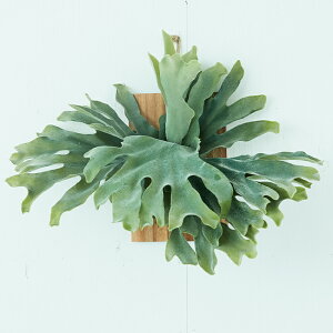 yԁzytFCNO[z rJNV_ EH[nMO AJVA30 yCeA G AWg ϗtA lHA  Ǌ| RE FARM BROWNz