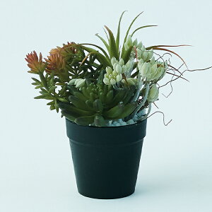 yԁzytFCNO[z ~jAWg |bg SA yCeA G AWg ϗtA lHA  |bgz