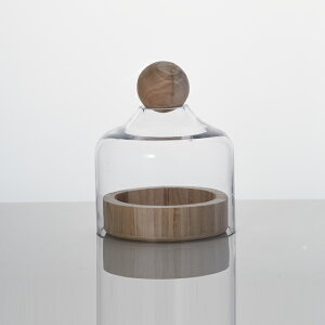 テラリウム SH ≪植木鉢 ガーデン雑貨 テラリウム おしゃれ かわいい 多肉植物 インテリア≫