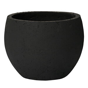 o@{E@19 @Aؔ yʂȃZgv^[ tȎ