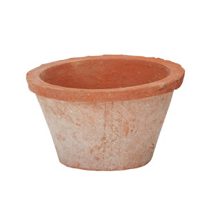 植木鉢 素焼き鉢 5号 鉢の人気商品 通販 価格比較 価格 Com