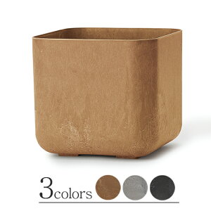 y݌ɌzA[gXg[ L[uR S 13Aؔ ^ y  vX`bN Z[Ώ1