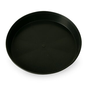 PE h\[T[ 40|G` Rh~ Aؔ Jo[ K[fG K[fc[