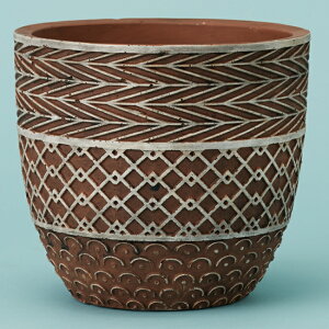 yAؔzT 14yAؔ  Jo[ K[fG 킢 CeA Z[ΏFz