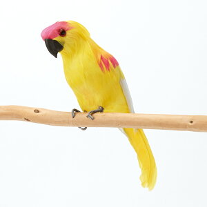 CG[pbg 20@I[ig/K[fG///킢/CeA/