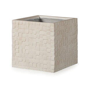 L[u [CN@36@Aؔ ^ y  t@Co[Zgv^[