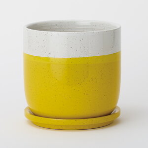 󂯎Mt픫 [j14yAؔ  K[fG 킢 CeA   z