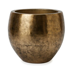 A KCL 43@Aؔ Jo[ ^ ^ y  