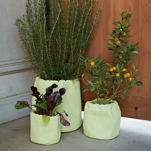 yAؔzvcTbN@P@t@ubN 20yAؔ  Jo[ K[fG 킢 CeA Z[ΏFz