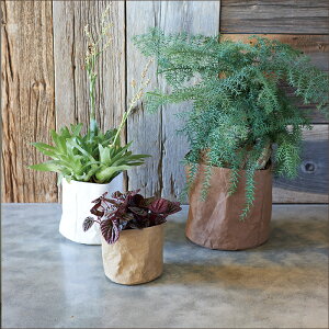 yAؔzNtgy[p[|bg 20yAؔ  Jo[ K[fG 킢 CeA Z[ΏFiꕔJ[jz