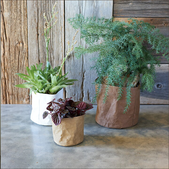 楽天市場 植木鉢 クラフトペーパーポット 植木鉢 おしゃれ 鉢カバー ガーデン雑貨 かわいい インテリア Farm4 植木鉢 テラコッタ専門店 バージ
