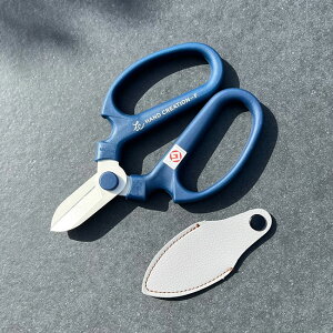 yObhfUC܎܁z@Ԃ͂ u[