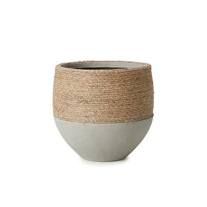 �J������ �X�p���O���X RD S 26�@��A�ؔ� ������� ��^ �y�� ���J�o�[ �V�R�f�ށ�