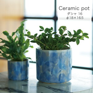 _V 16 Aؔ Jo[ v^[  y CeA ChA  e[u|bg FARM1