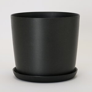 y󂯎MtzGXe 25 󂯎MtyAؔ  K[fG 킢 CeA GR vX`bN TXeBiu yʁz