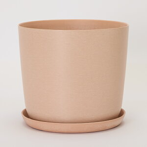 y󂯎MtzGXe 25 󂯎MtyAؔ  K[fG 킢 CeA GR vX`bN TXeBiu yʁz