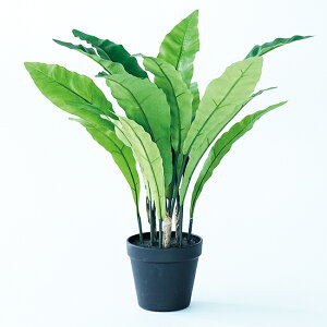 yԁzytFCNO[z AXvjE |bg 45 yCeA ϗtA lHA  C~e[V Z[ΏFz