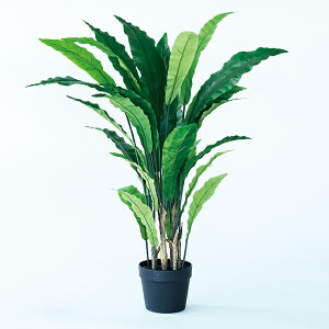 yԁzytFCNO[z AXvjE |bg 90 yCeA ϗtA lHA  C~e[V z