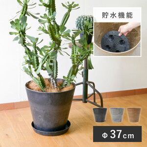 A[gXg[ RjbN XL 37Aؔ ^ y  vX`bN