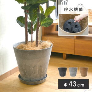 A[gXg[ RjbN XXL43 Aؔ ^ y  vX`bN