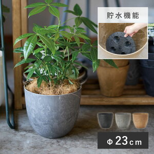 A[gXg[ Eh XS 23Aؔ ^ y  vX`bN