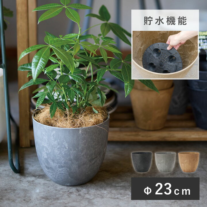 楽天市場】アートストーン ラウンド XS 23≪植木鉢 大型 軽量 おしゃれ 