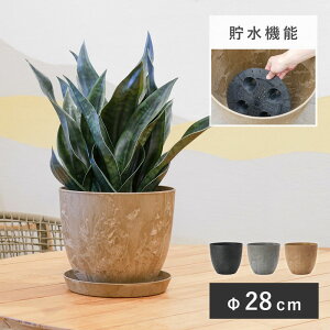 A[gXg[ Eh S 28Aؔ ^ y  vX`bN