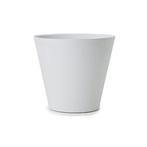 y݌ɌzA[gXg[ RjbN L 32 zCgAؔ ^ y  vX`bN Z[Ώ1