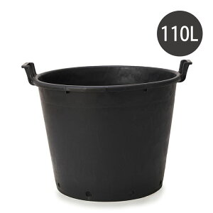 yZoׁzvX^@i[Z[|bg@nht@65Aؔ ^ y  vX`bN